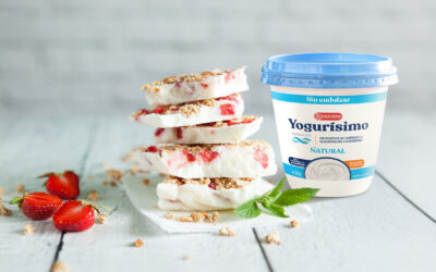 TABLETAS HELADAS DE YOGUR CON FRUTOS ROJOS