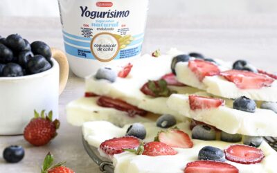TABLETAS HELADAS DE YOGUR CON FRUTOS ROJOS