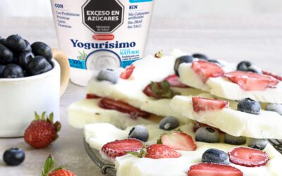 TABLETAS HELADAS DE YOGUR CON FRUTOS ROJOS